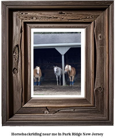 horseback riding near me in Park Ridge, New Jersey